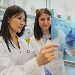 Donate to Regenerate Australia